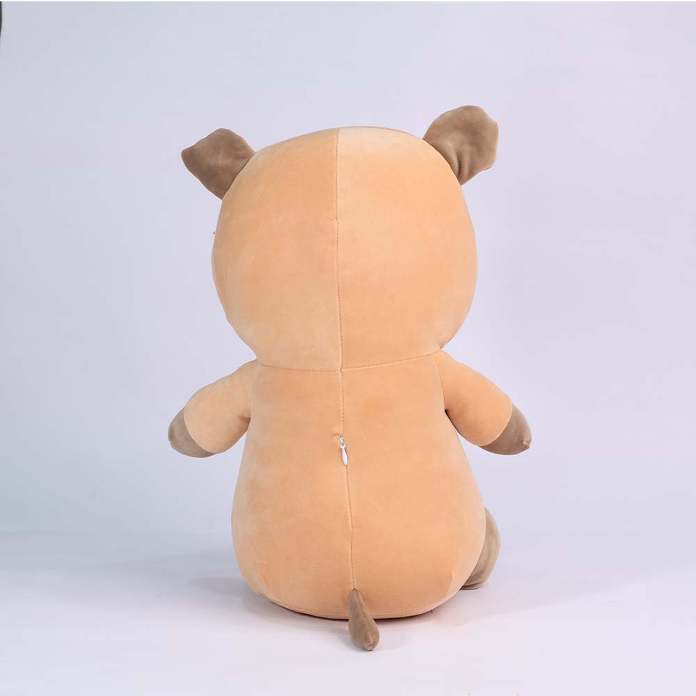 Raffy the Shy Raccoon – Your Cuddle Buddy with a Big Heart