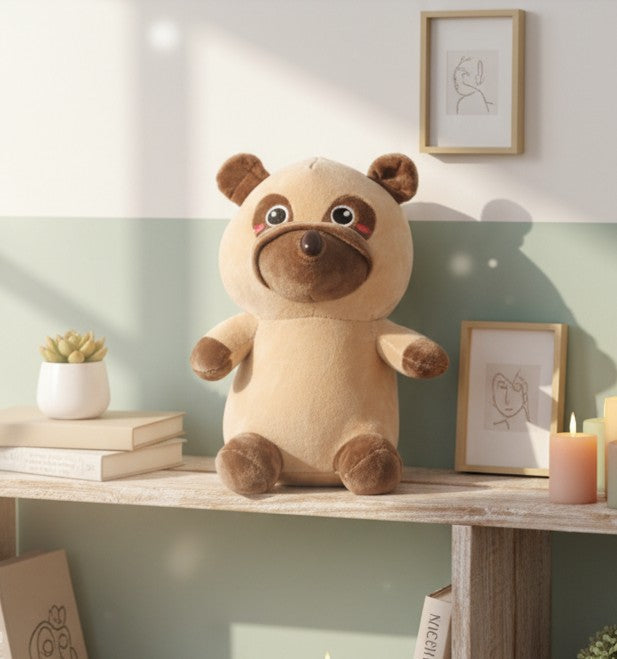 Raffy the Shy Raccoon – Your Cuddle Buddy with a Big Heart