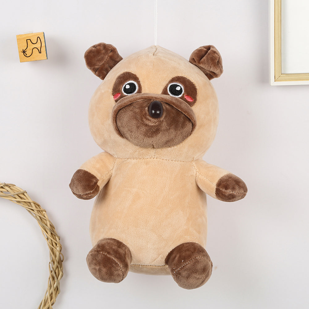 Raffy the Shy Raccoon – Your Cuddle Buddy with a Big Heart