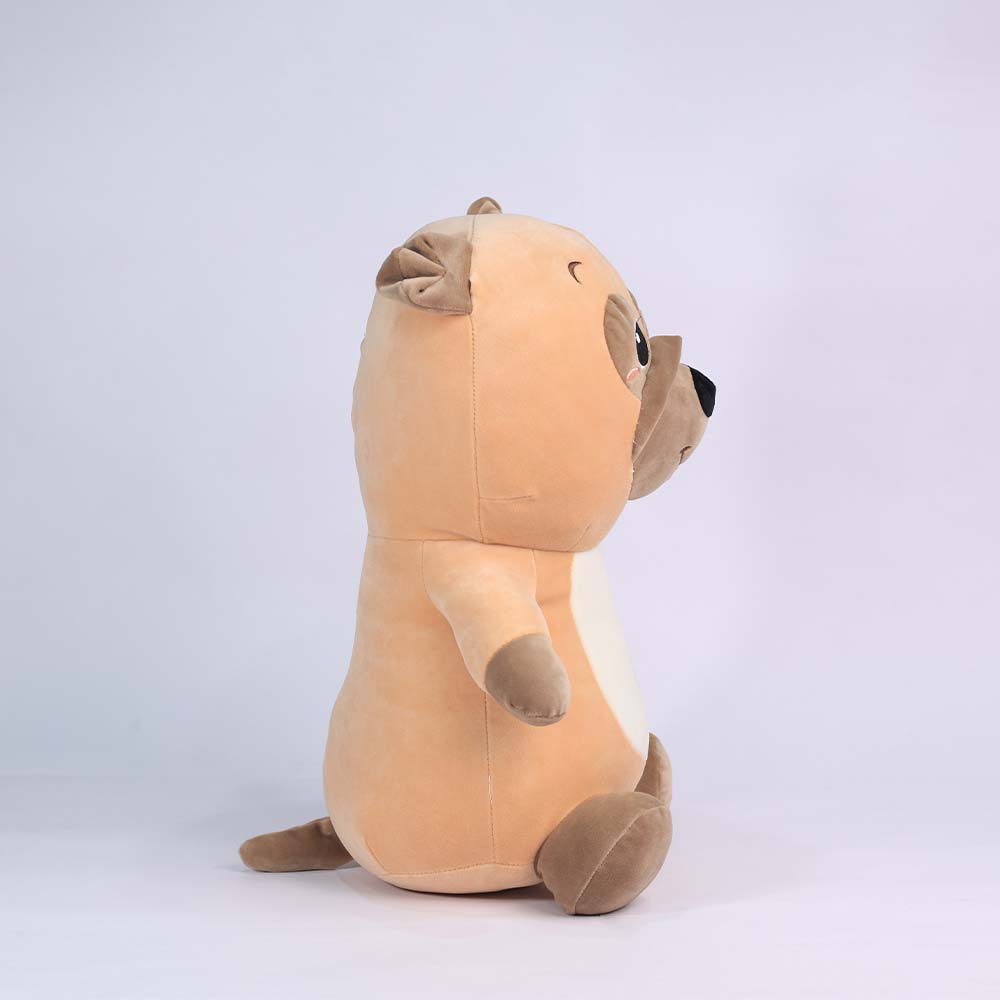 Raffy the Shy Raccoon – Your Cuddle Buddy with a Big Heart